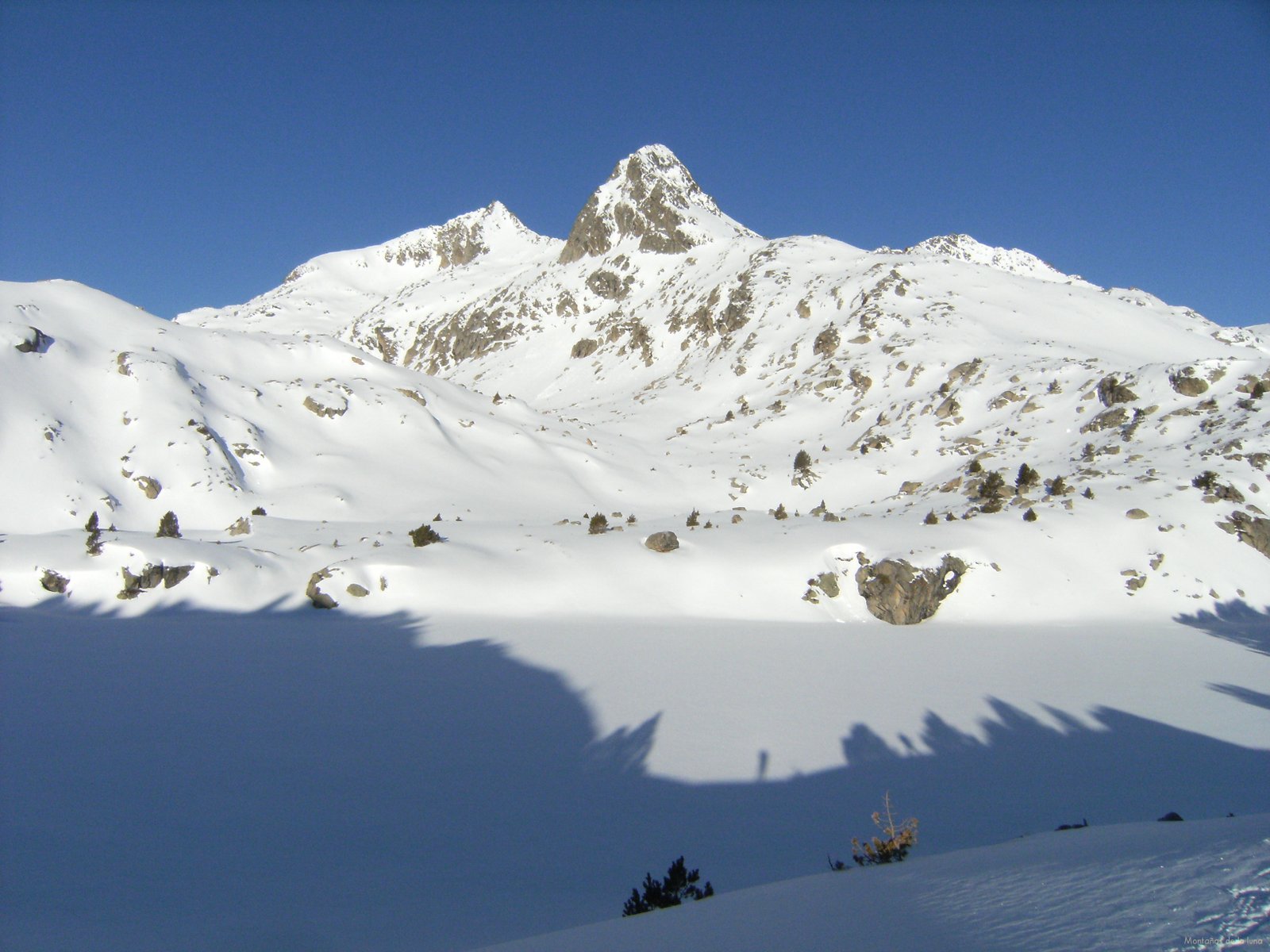 Plataforma Informativa